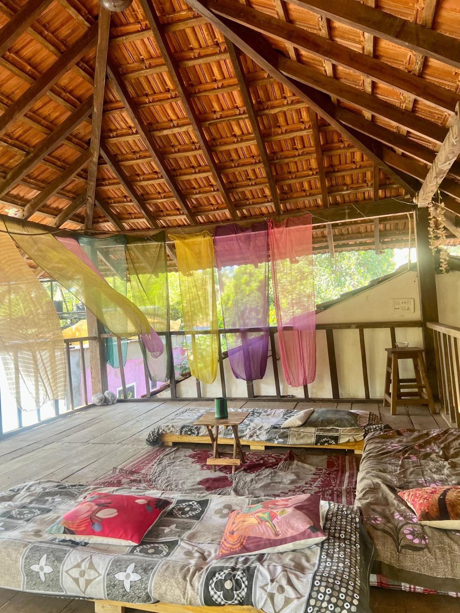 The Wild Flower! Anjuna Exterior foto