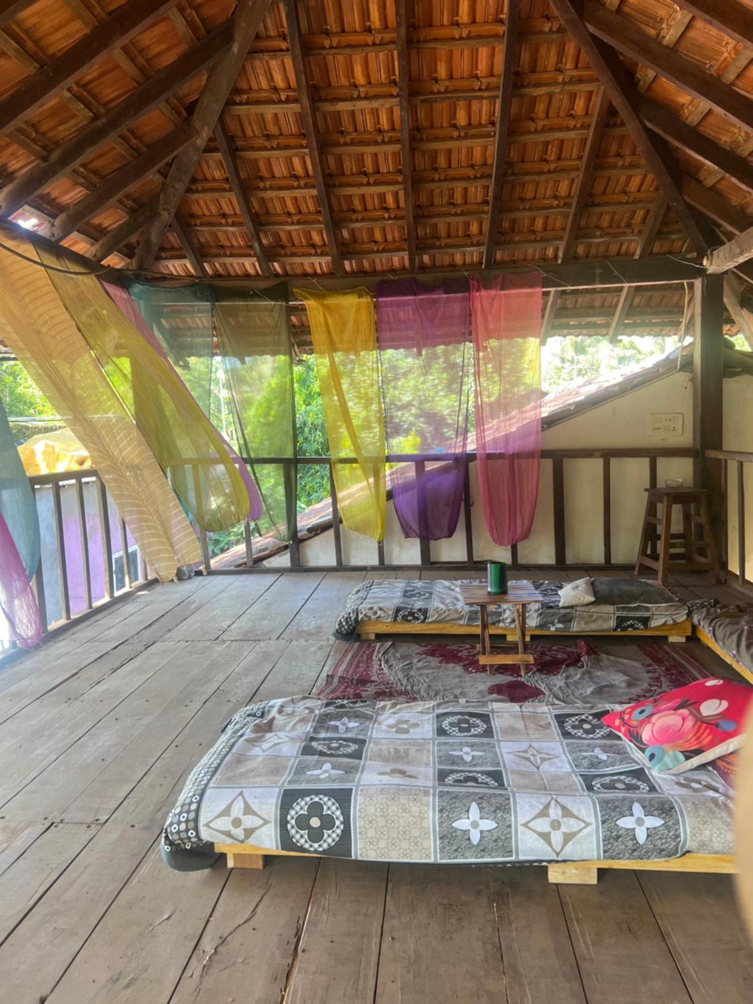 The Wild Flower! Anjuna Exterior foto